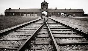 auschwitz photo